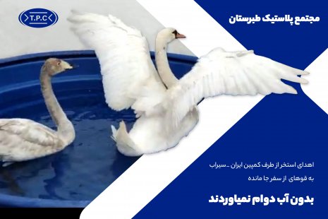 مهاجرانی که زمین گیر شدند مهاجرانی که زمین گیر شدند