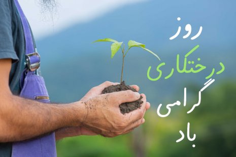 روز درختکاری روز درختکاری