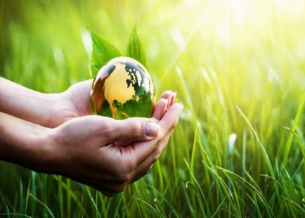 اهمیت محیط زیست| بررسی مشکلات زیست محیطی