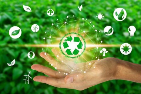 چگونه فعال محیط زیست شویم [دریافت کارت محیط زیست]