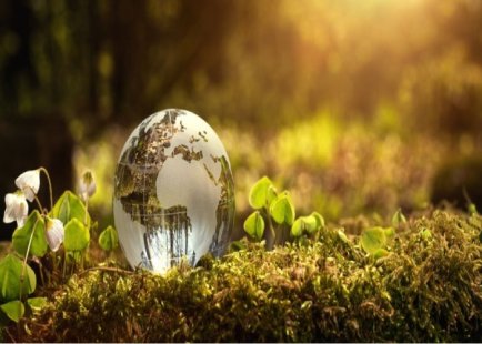 محیط زیست چیست| حفظ و نگهداری محیط زیست