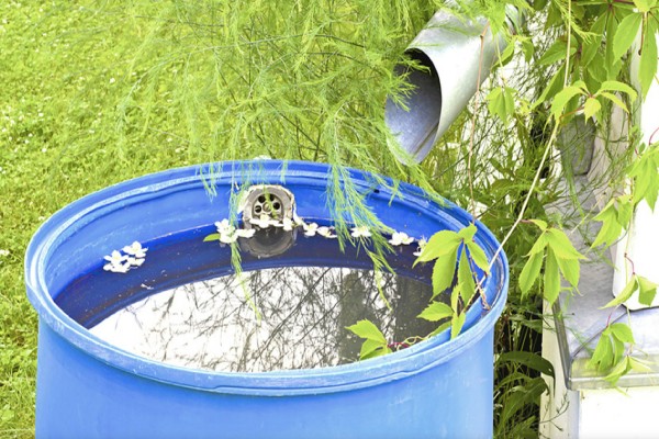 کلرزنی آب و قرص تصفیه