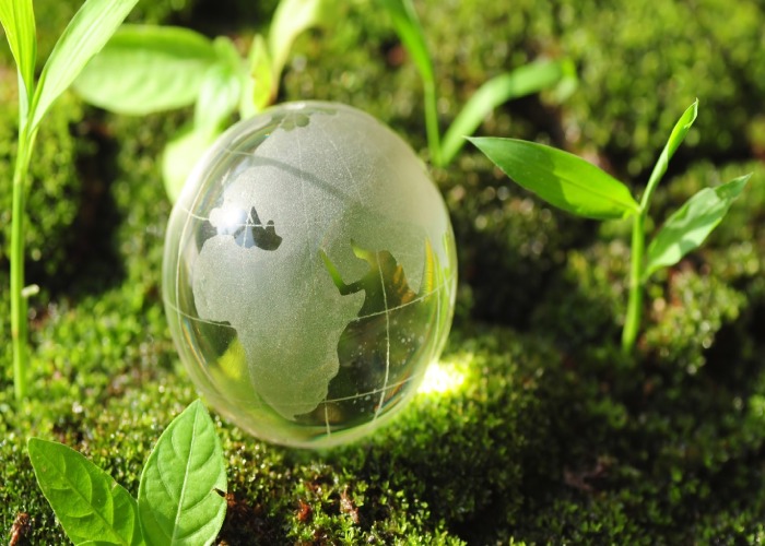 نقش شرکت‌ها و نهادهای خصوصی در حفاظت محیط زیست